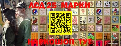 шишки Аргун