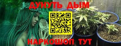 прущие грибы Апрелевка