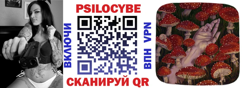 Галлюциногенные грибы Psilocybe  купить наркоту  Борисоглебск 