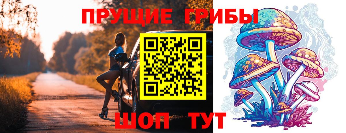 Псилоцибиновые грибы Psilocybine cubensis Борисоглебск