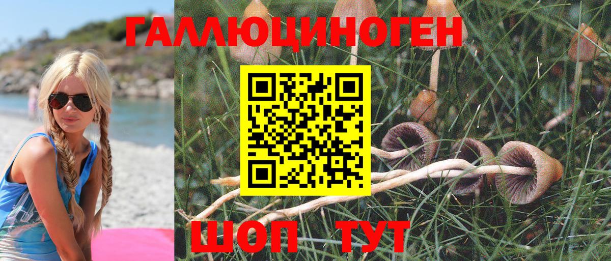 Псилоцибиновые грибы Cubensis  Борисоглебск 