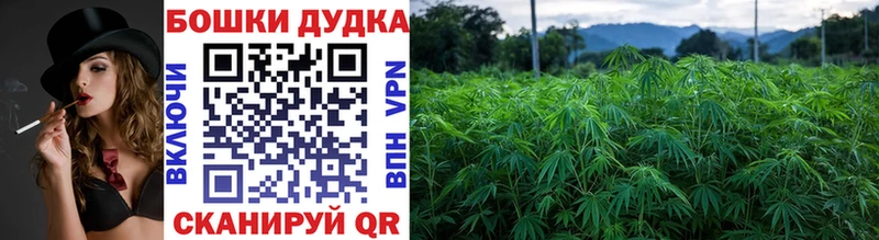 купить закладку  Борисоглебск  Канабис MAZAR 